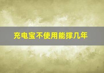 充电宝不使用能撑几年