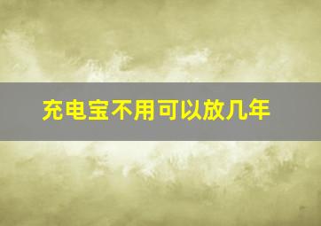 充电宝不用可以放几年