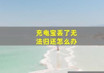 充电宝丢了无法归还怎么办