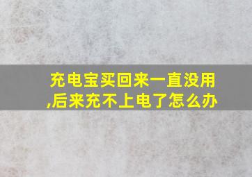 充电宝买回来一直没用,后来充不上电了怎么办