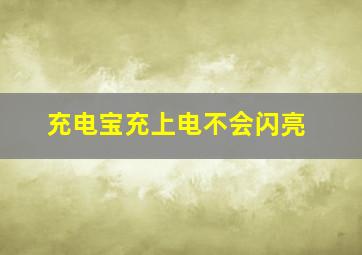 充电宝充上电不会闪亮