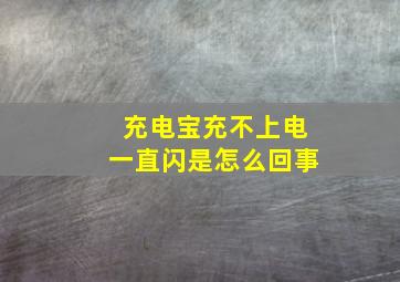 充电宝充不上电一直闪是怎么回事