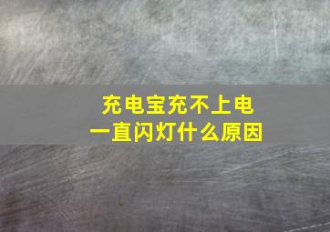 充电宝充不上电一直闪灯什么原因