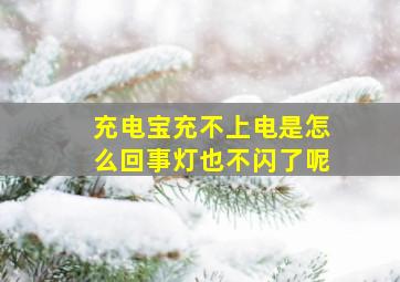 充电宝充不上电是怎么回事灯也不闪了呢