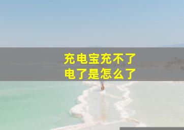 充电宝充不了电了是怎么了