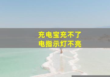 充电宝充不了电指示灯不亮