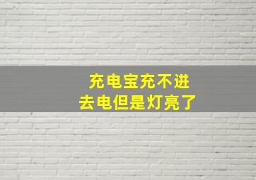 充电宝充不进去电但是灯亮了