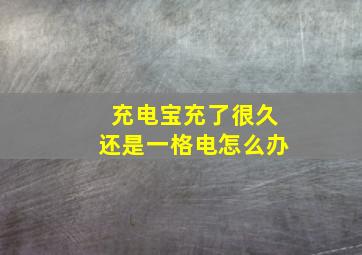 充电宝充了很久还是一格电怎么办