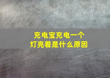 充电宝充电一个灯亮着是什么原因