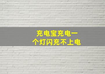 充电宝充电一个灯闪充不上电