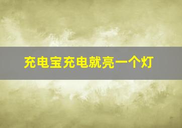 充电宝充电就亮一个灯