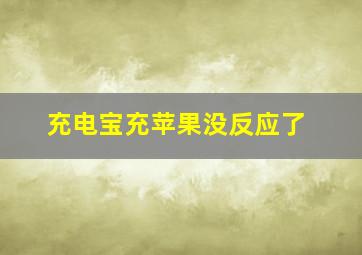 充电宝充苹果没反应了