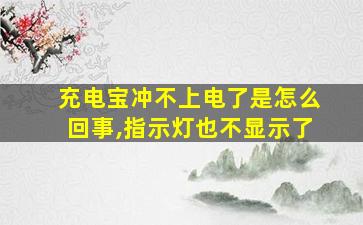 充电宝冲不上电了是怎么回事,指示灯也不显示了