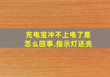 充电宝冲不上电了是怎么回事,指示灯还亮