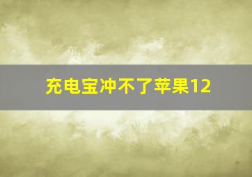 充电宝冲不了苹果12