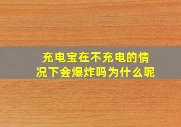 充电宝在不充电的情况下会爆炸吗为什么呢