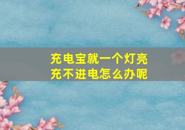 充电宝就一个灯亮充不进电怎么办呢