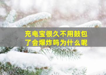 充电宝很久不用鼓包了会爆炸吗为什么呢