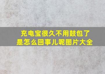 充电宝很久不用鼓包了是怎么回事儿呢图片大全