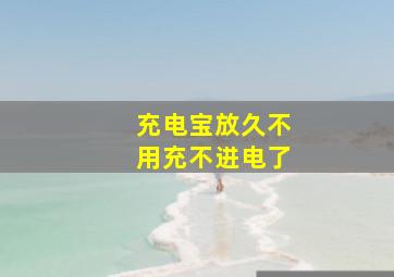 充电宝放久不用充不进电了