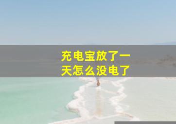 充电宝放了一天怎么没电了