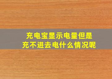 充电宝显示电量但是充不进去电什么情况呢