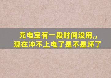 充电宝有一段时间没用,,现在冲不上电了是不是坏了