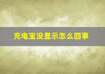 充电宝没显示怎么回事