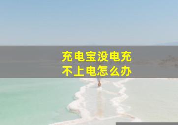 充电宝没电充不上电怎么办