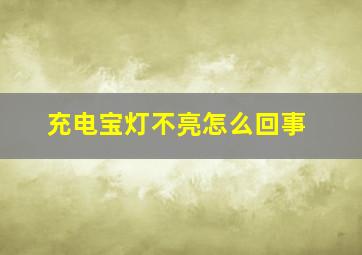 充电宝灯不亮怎么回事