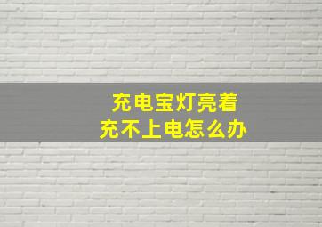 充电宝灯亮着充不上电怎么办