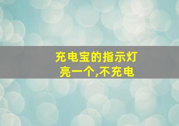 充电宝的指示灯亮一个,不充电