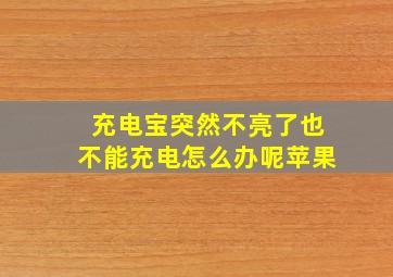 充电宝突然不亮了也不能充电怎么办呢苹果