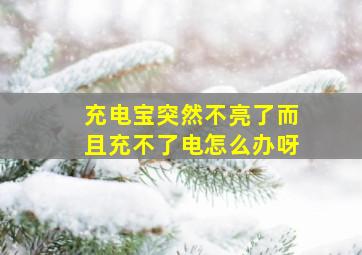 充电宝突然不亮了而且充不了电怎么办呀