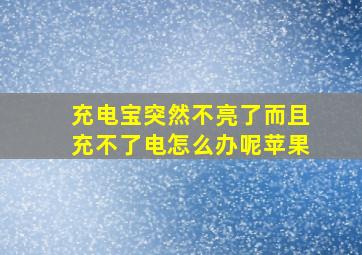 充电宝突然不亮了而且充不了电怎么办呢苹果