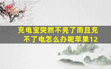 充电宝突然不亮了而且充不了电怎么办呢苹果12