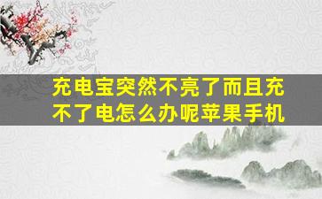 充电宝突然不亮了而且充不了电怎么办呢苹果手机