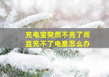 充电宝突然不亮了而且充不了电是怎么办