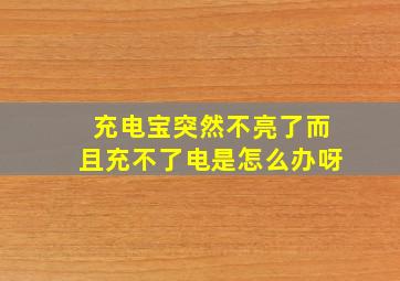 充电宝突然不亮了而且充不了电是怎么办呀