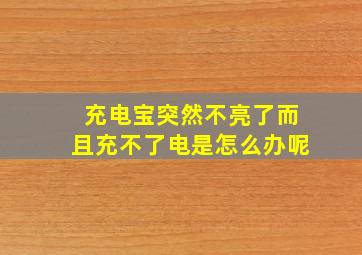 充电宝突然不亮了而且充不了电是怎么办呢