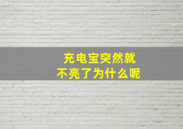 充电宝突然就不亮了为什么呢