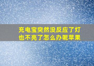 充电宝突然没反应了灯也不亮了怎么办呢苹果