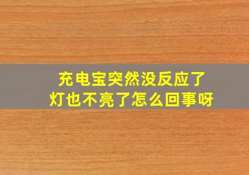 充电宝突然没反应了灯也不亮了怎么回事呀