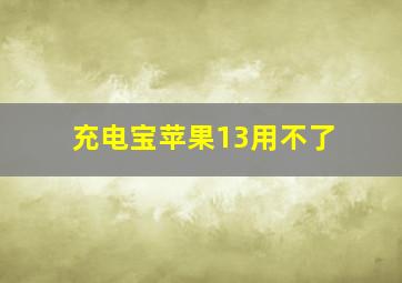 充电宝苹果13用不了