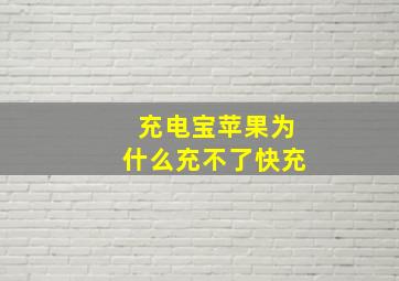 充电宝苹果为什么充不了快充