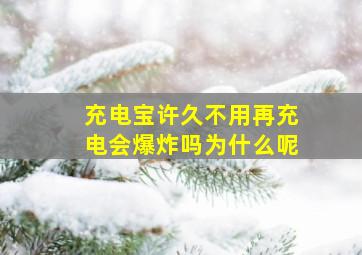 充电宝许久不用再充电会爆炸吗为什么呢