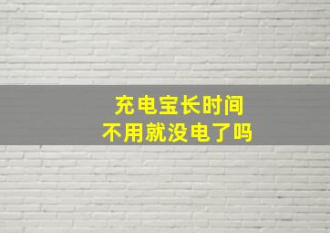 充电宝长时间不用就没电了吗