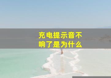 充电提示音不响了是为什么