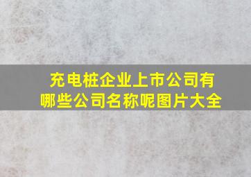 充电桩企业上市公司有哪些公司名称呢图片大全