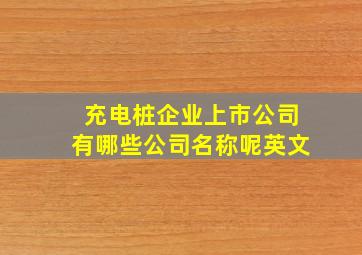 充电桩企业上市公司有哪些公司名称呢英文